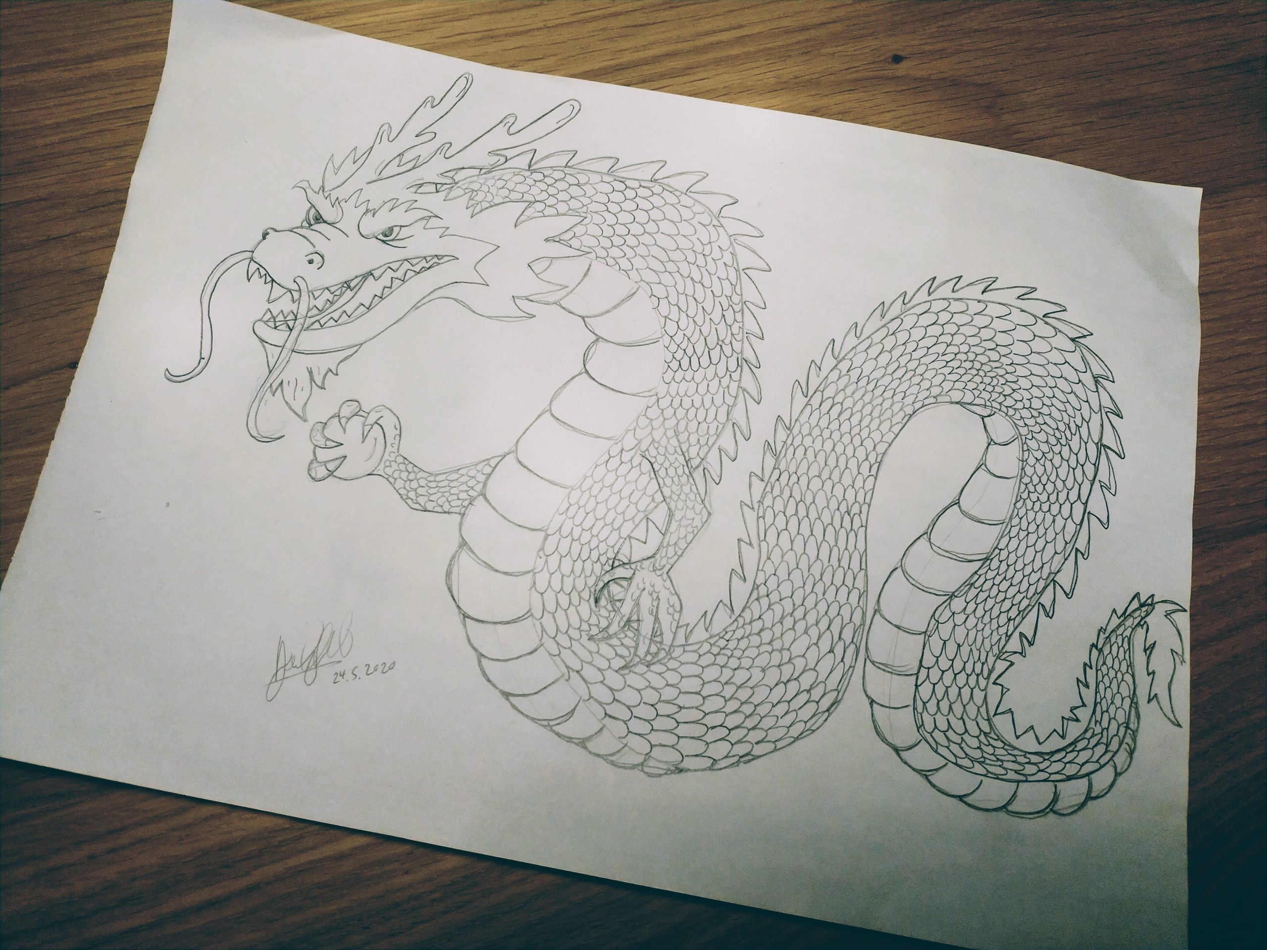 ArtStation - Dragon pencil sketch